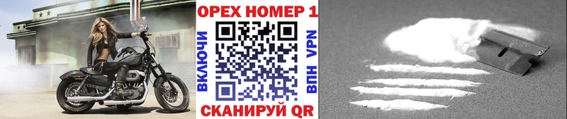 где найти наркотики  Новосокольники  Кокаин Эквадор 