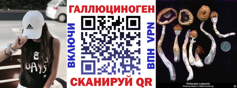 Псилоцибиновые грибы Magic Shrooms  Новосокольники 